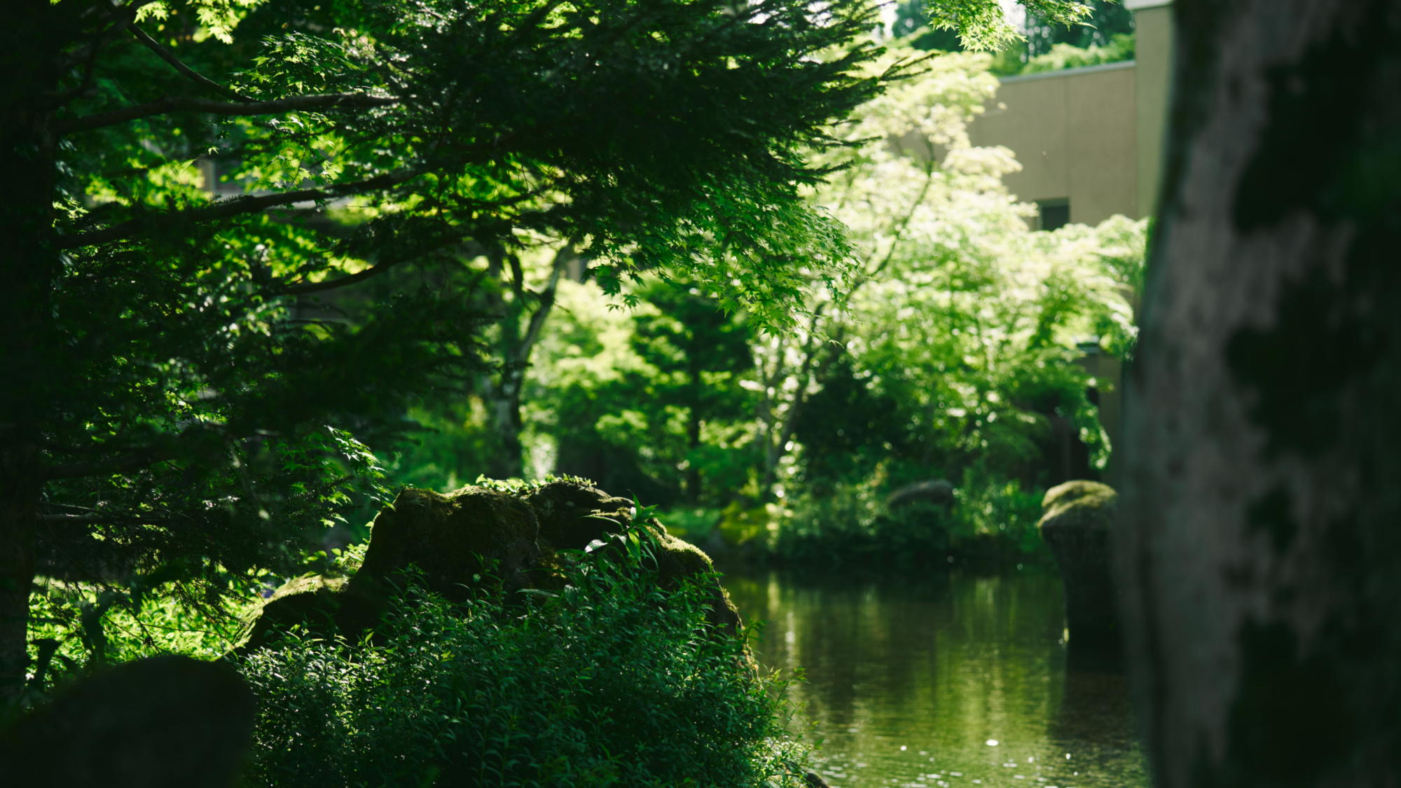 箱根の自然と清流早川の景観に、上質で美しい時間が流れる 