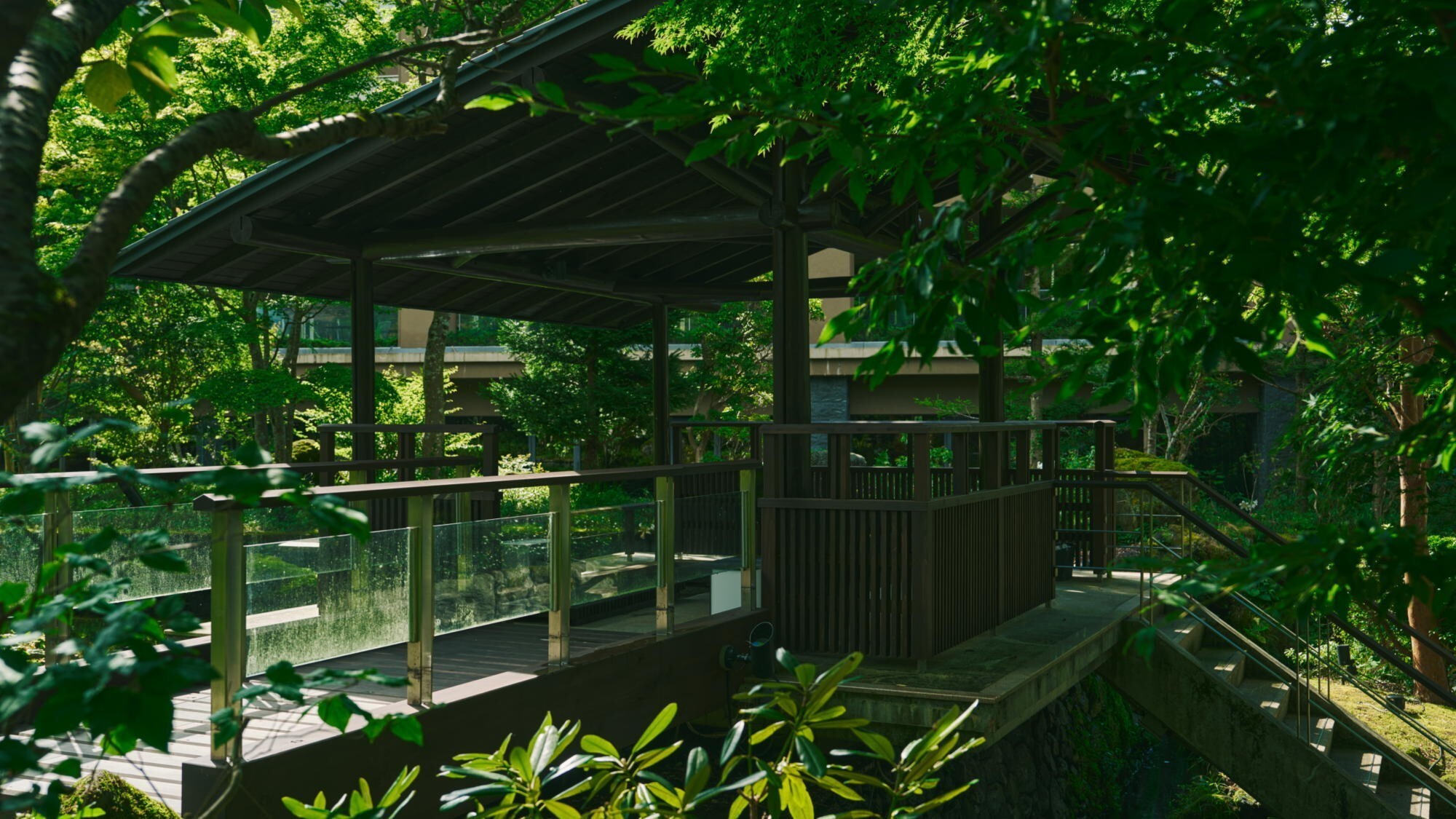 鮮やかな緑が描く、心洗われる風景