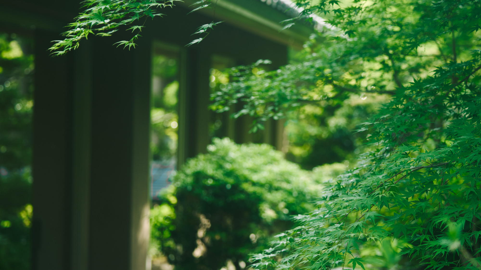 四季折々の景観をお楽しみください