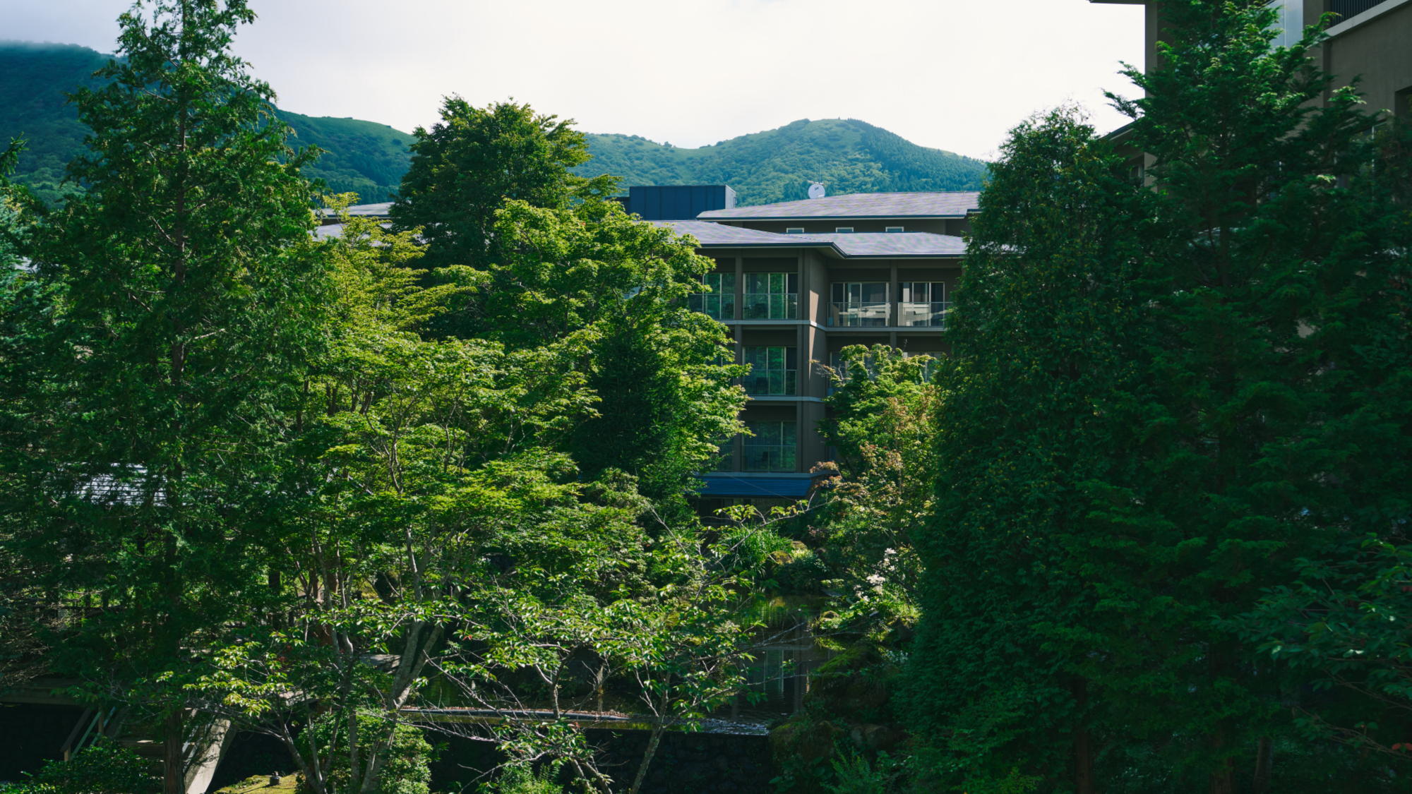 箱根の山々と清流早川の景観に触れる上質なひととき