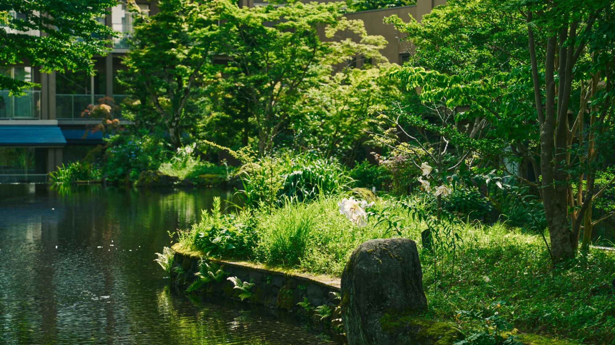 やさしい風に抱かれるひととき