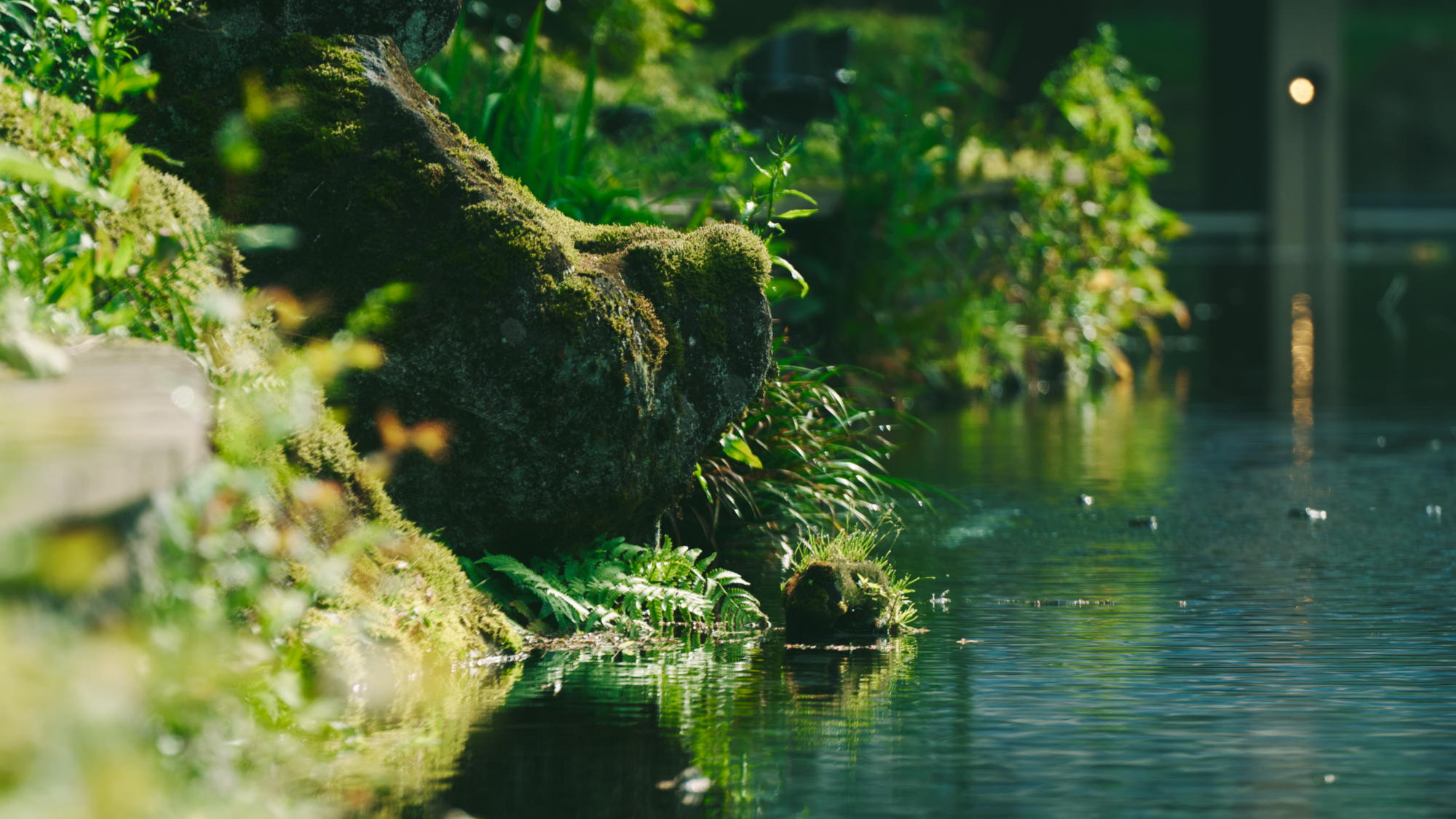 池と滝がつくりあげるすが清々しい水景、そこには寛ぎの贅を尽くした至福の時が待っています