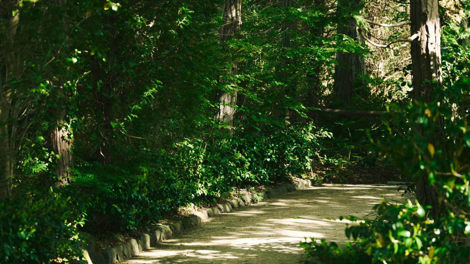 ガーデン遊歩道では四季を感じながら散策していただけます