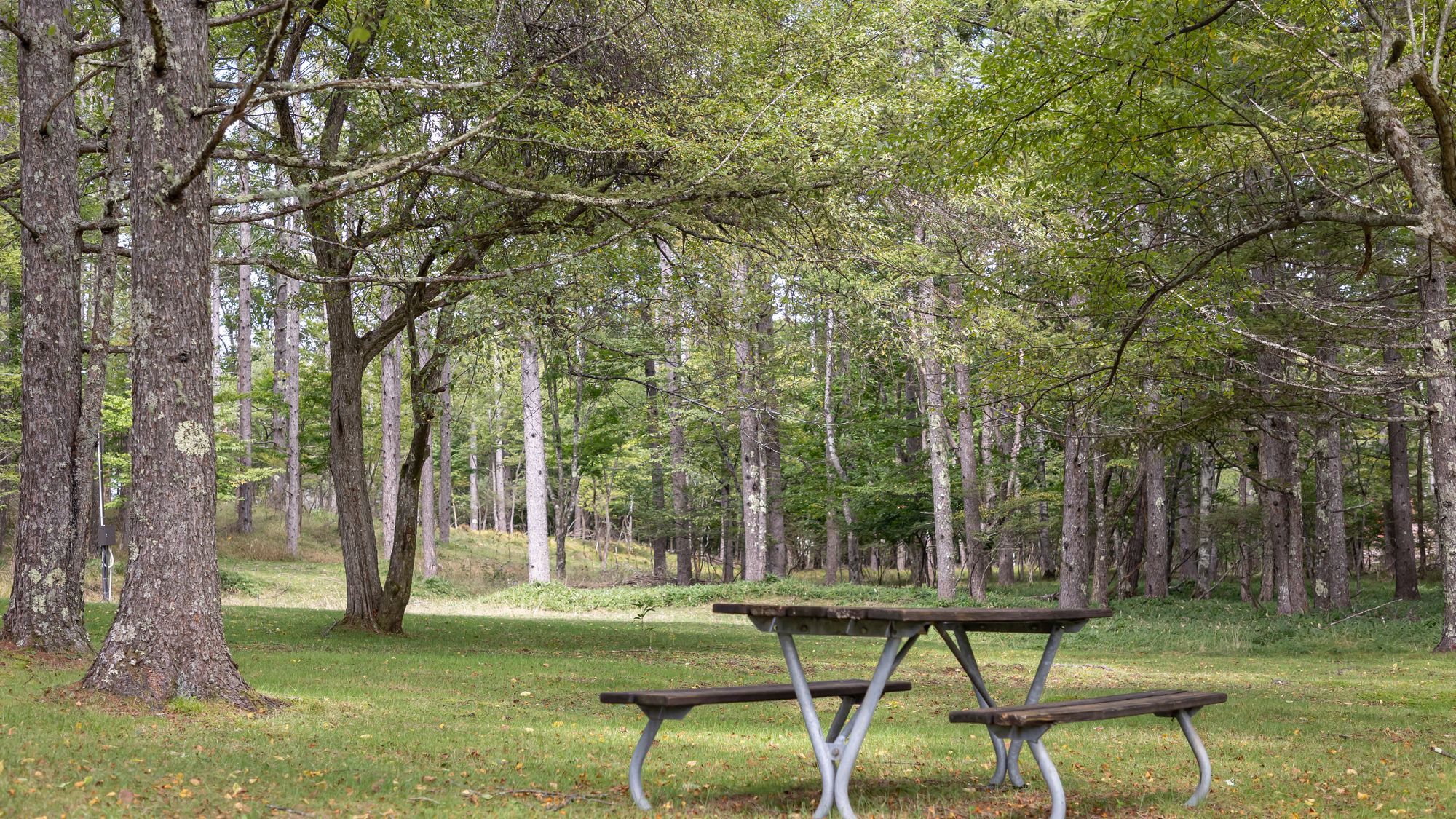 【ホテル周辺】散策コース