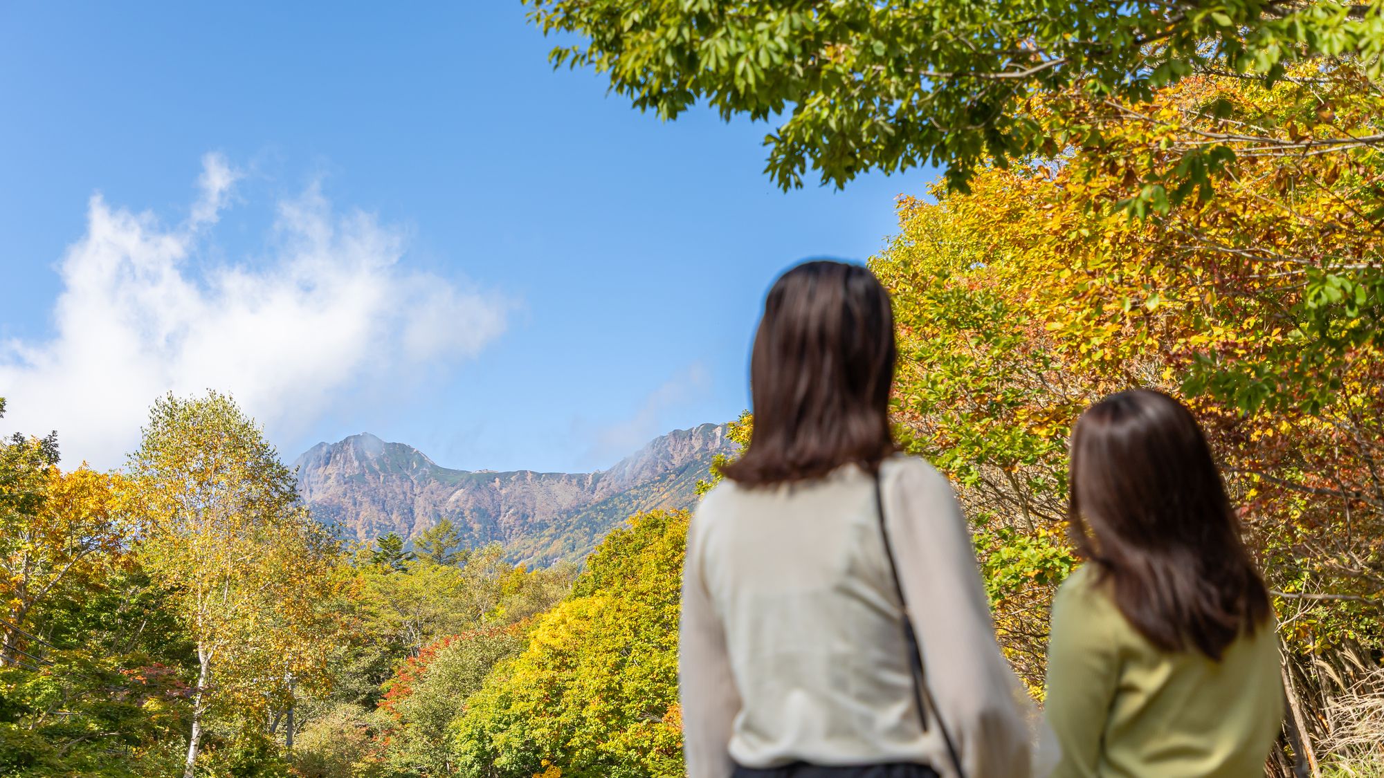 八ヶ岳高原ロッジ周辺の自然散策