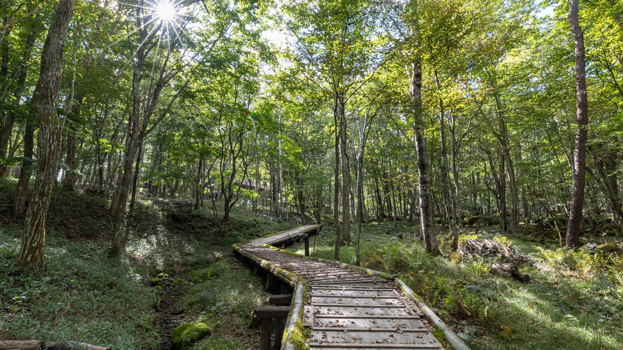 【ホテル周辺】散策コース