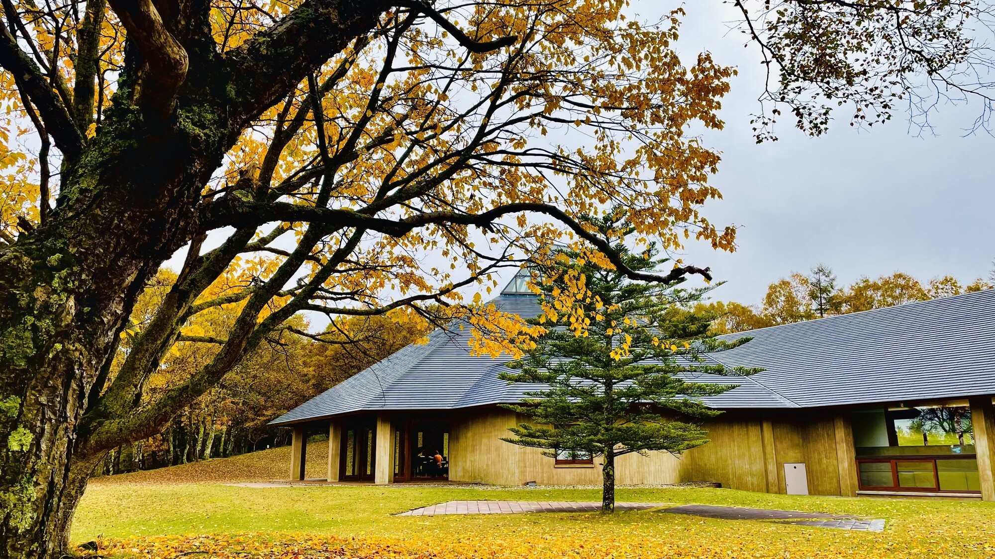 【八ヶ岳高原音楽堂】