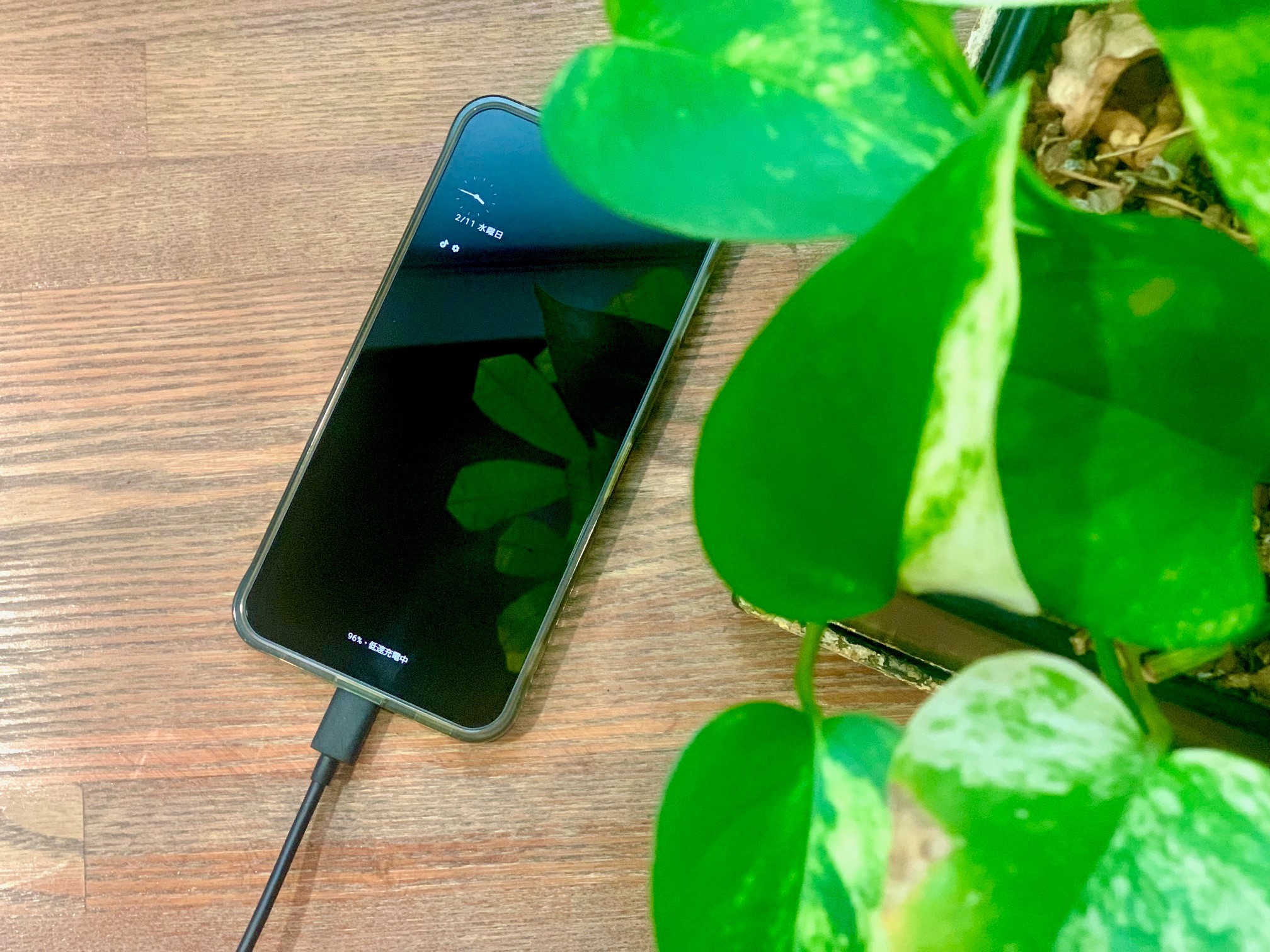 【貸出】充電器ライトニング：CTYPE