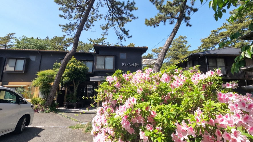 *春の外観／千本浜からの海風を感じる旅館です。ビジネス・観光にご利用下さいませ。