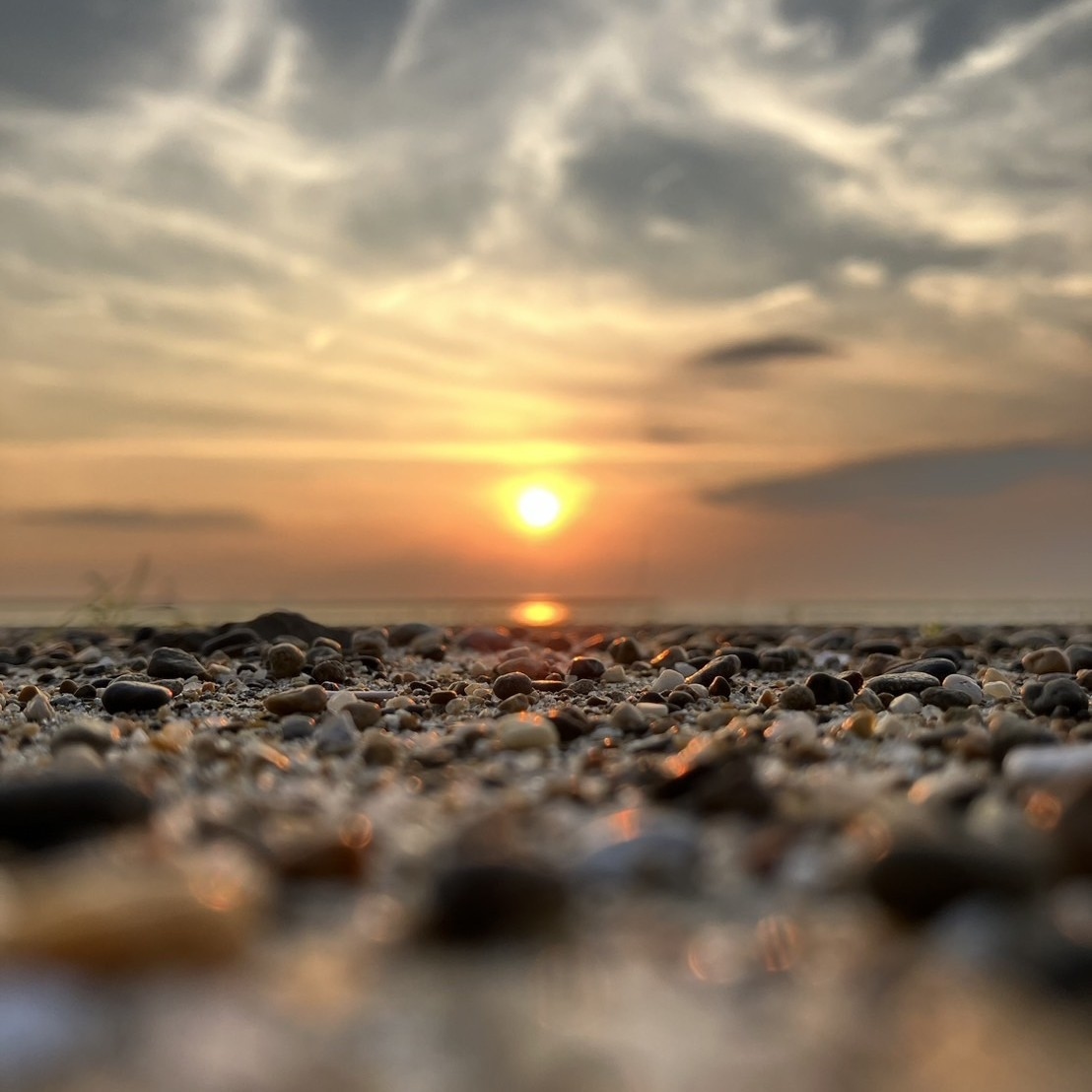 【2食付グレードアップ】伊良湖温泉を満喫しよう！〜海の幸を贅沢に味わう〜新鮮活き盛り海鮮プラン