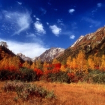 Autumn leaves at Tsugaike Nature Park vol.1