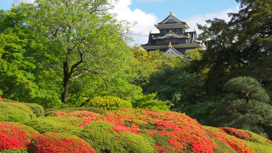 岡山後楽園　つつじ