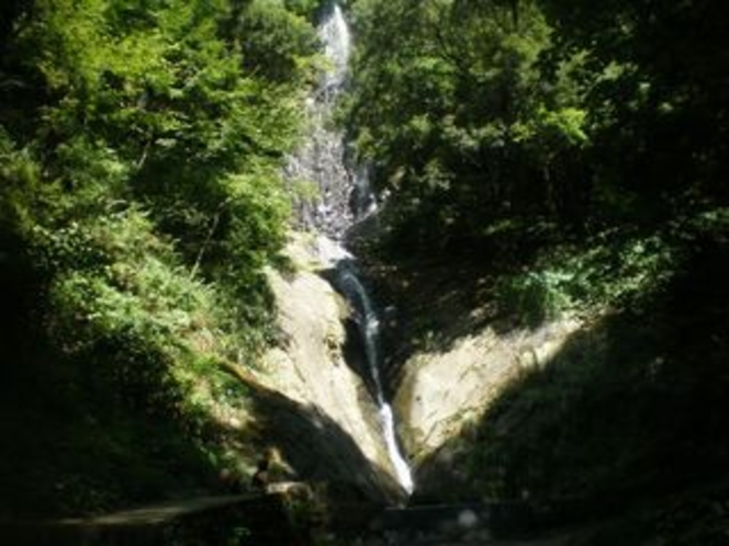 猿尾の滝