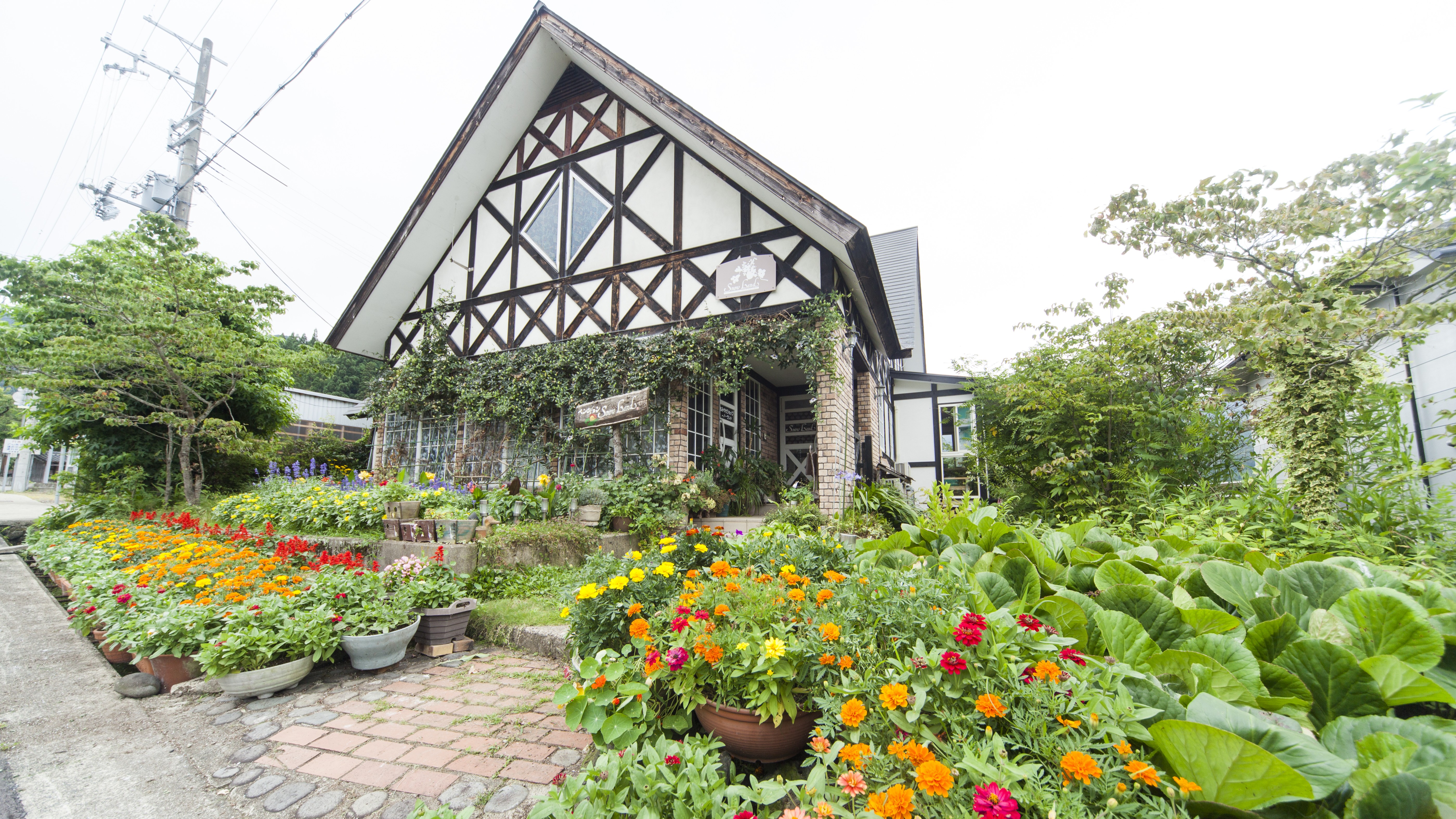 季節の花々でお出迎えいたします。