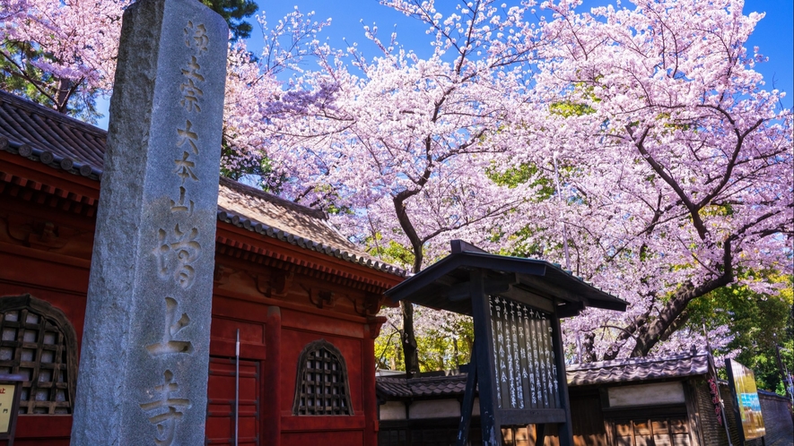 増上寺（ホテルより徒歩10分）