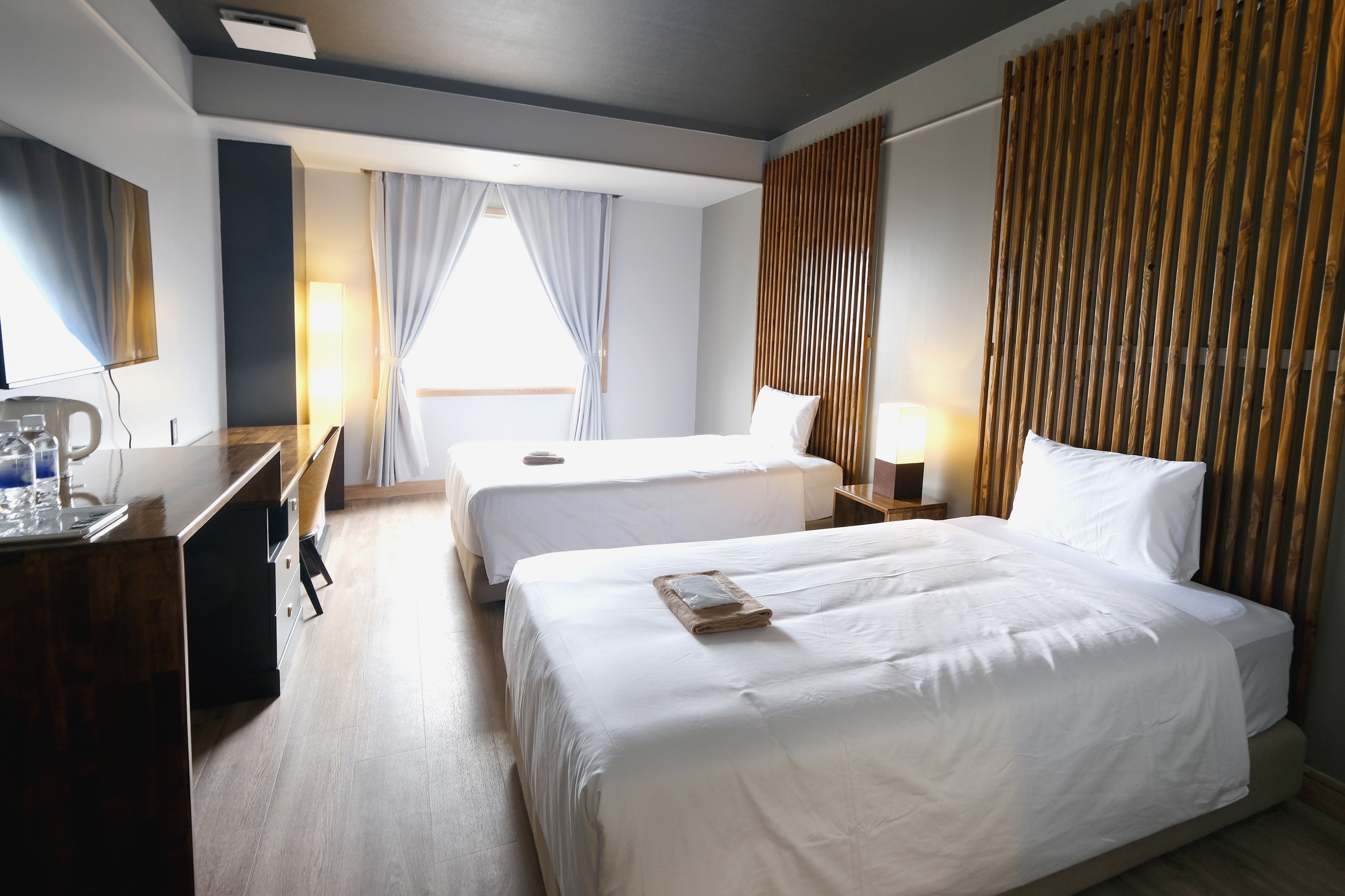 Premium Deluxe Twin 1