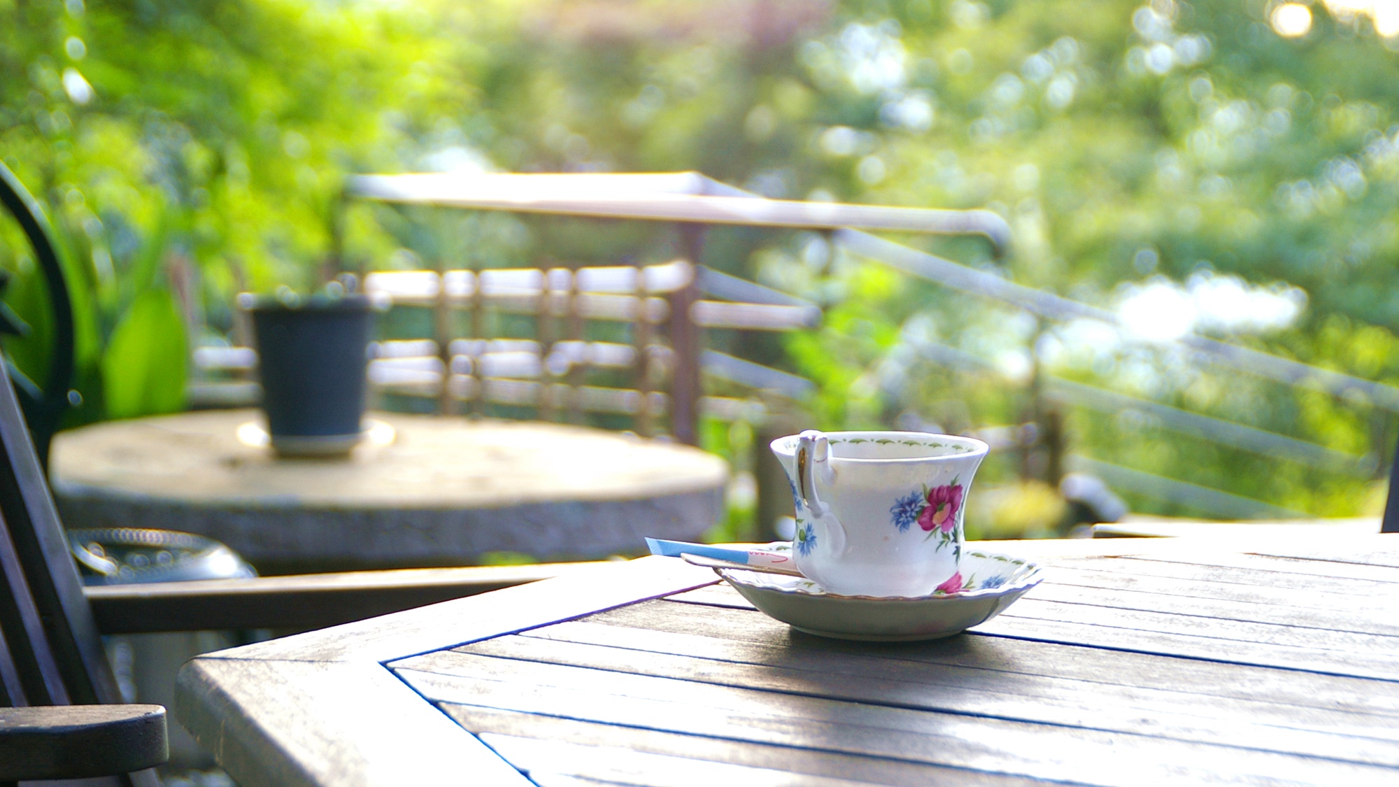 *【館内】和cafe【鹿鷺(かさぎ)】で自然を感じながらお過ごしください。