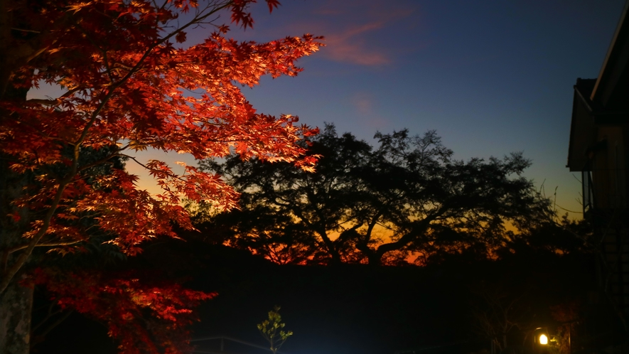 *【周辺観光】お庭から眺める紅葉と夕日のコントラスが鮮やかです。