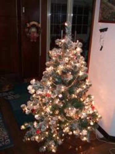 玄関横のクリスマスツリー