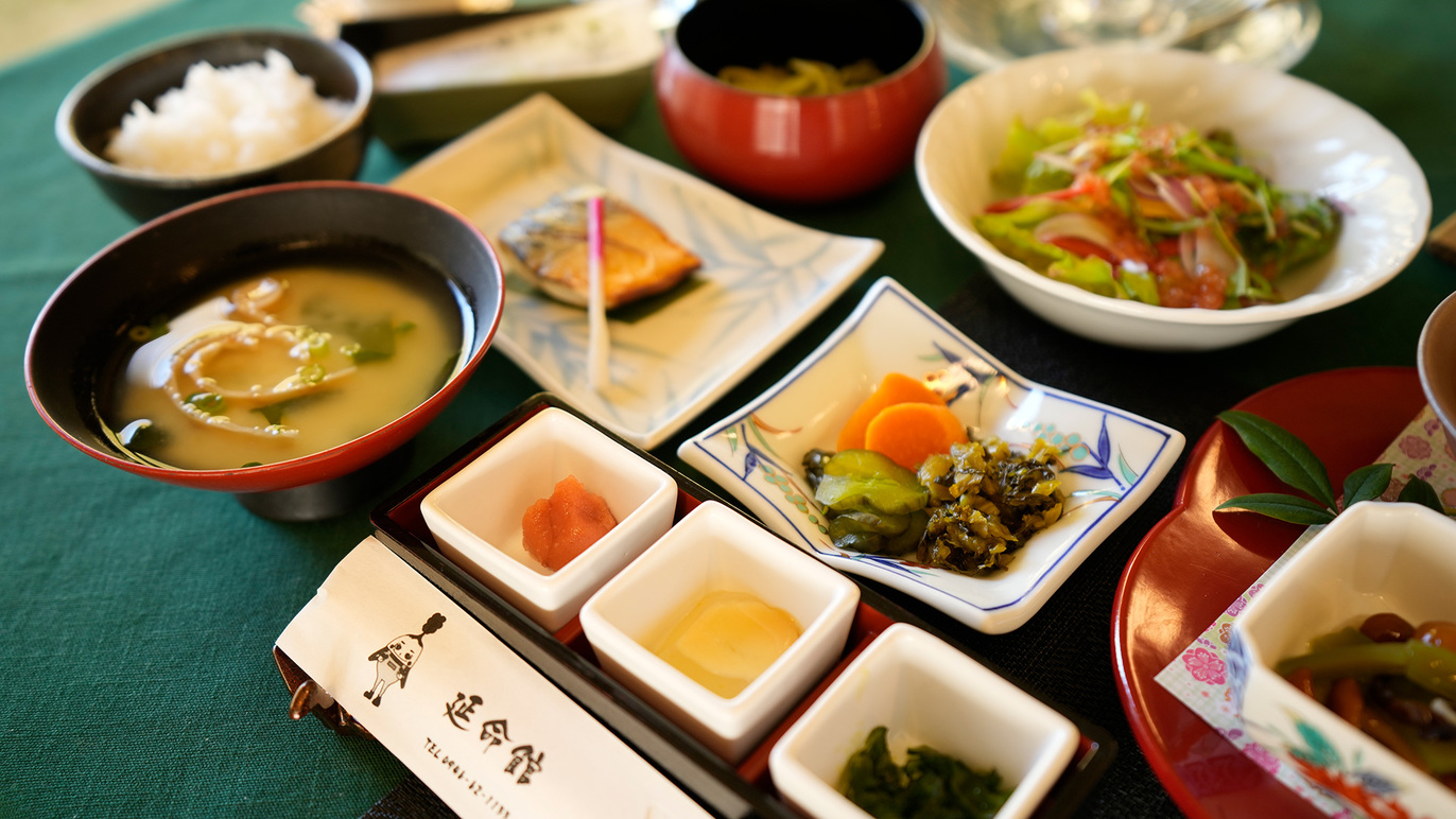 【1泊朝食付き】源泉掛け流しの炭酸天然温泉でまったり~栄養満点の和食で一日を元気にスタート~