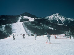 【ファミリー】【2間続きのゆったり和洋室】大人4名様プラン！