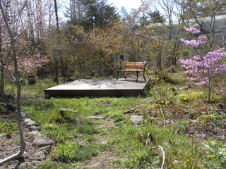 ガーデン・桜が咲く春の裏庭