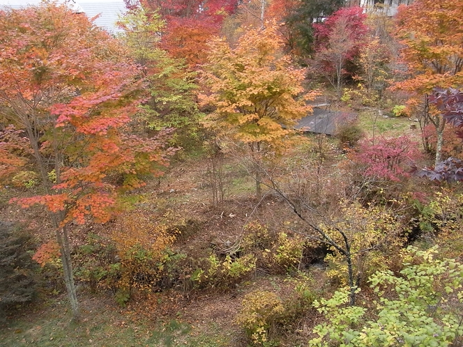 秋の庭の風景