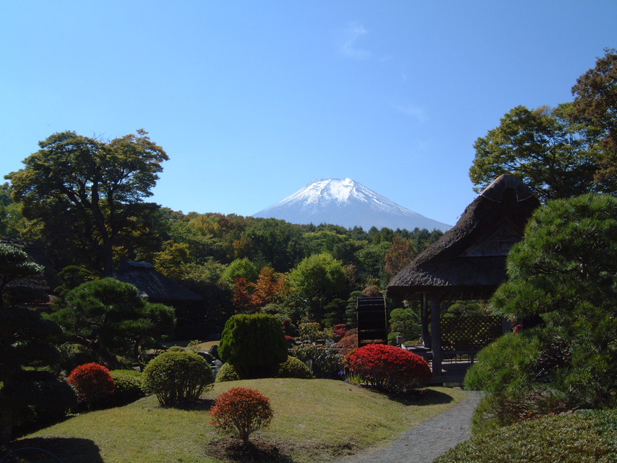 ペンション フォーレスト 山梨県 宿泊予約 楽天トラベル