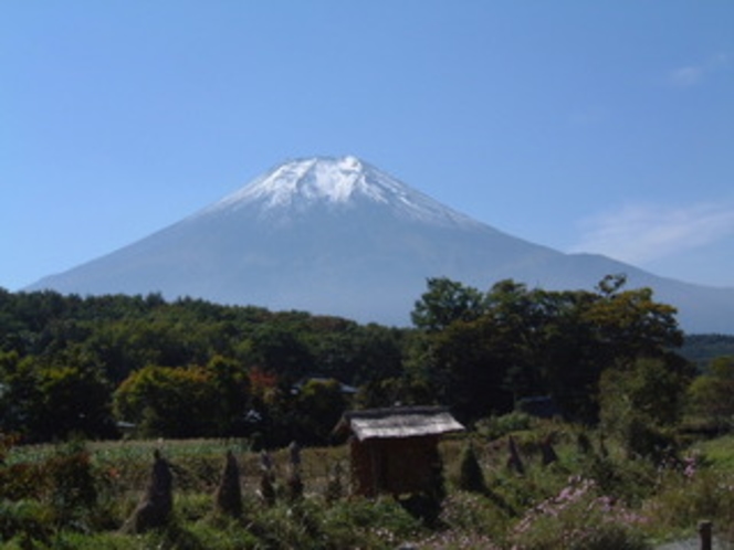 忍野からの富士