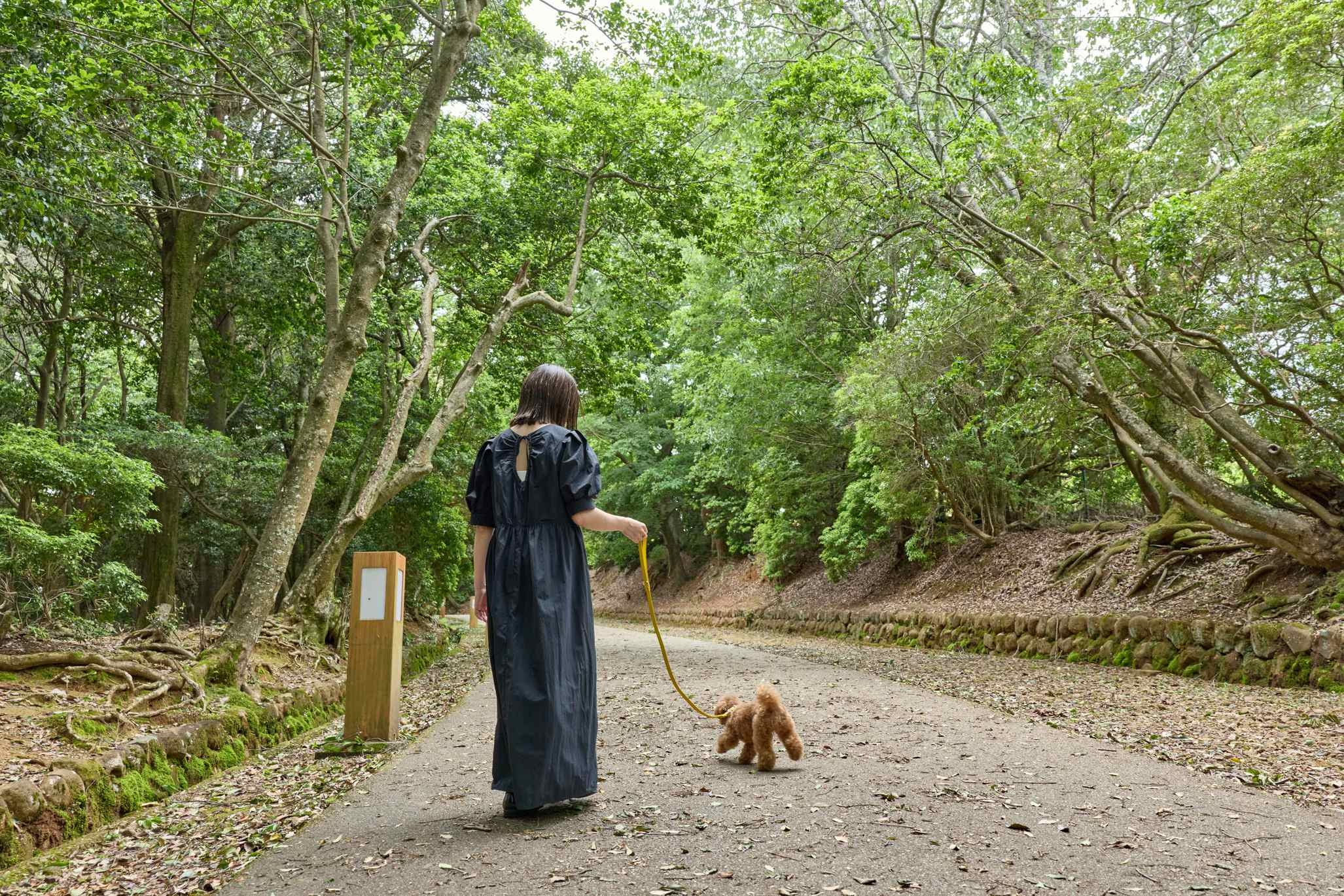 【愛犬同室】のんびりお部屋ステイ　ANDOホテル自慢の料理を堪能する大人のペット旅プラン（夕朝食付）