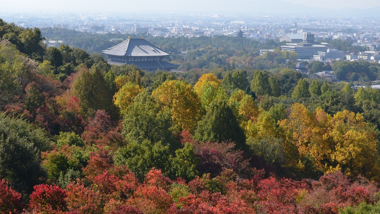 【秋限定！森林浴ウォーキングプラン】世界遺産の原始林でリフレッシュし、紅葉を満喫する安らぎの旅