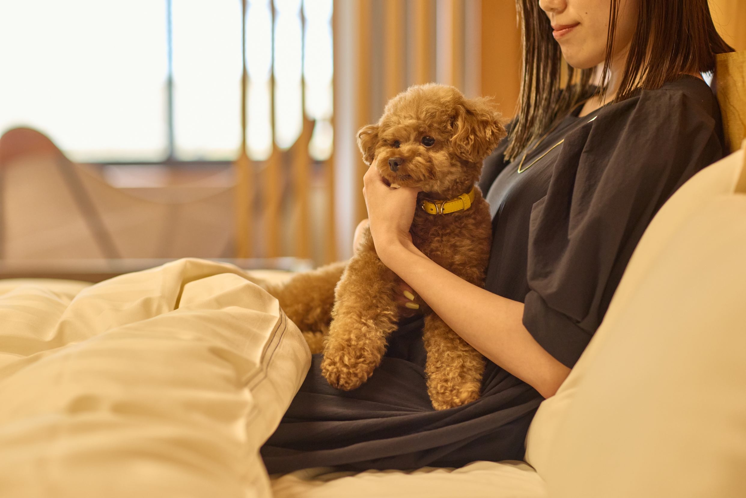 【愛犬同室】のんびりお部屋ステイ　ANDOホテル自慢の料理を堪能する大人のペット旅プラン（夕朝食付）