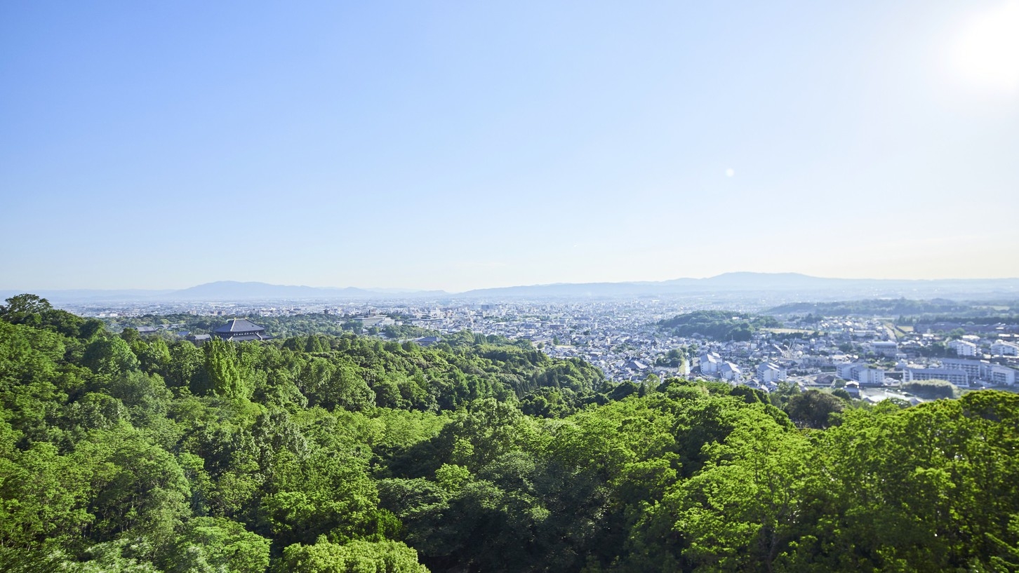 【新緑の奈良】お得な6月までの平日限定　ANDOホテルの自慢のテラスルームに泊まろう　夕朝食付