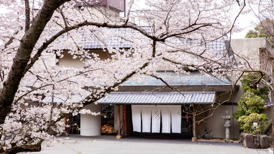 外観と桜