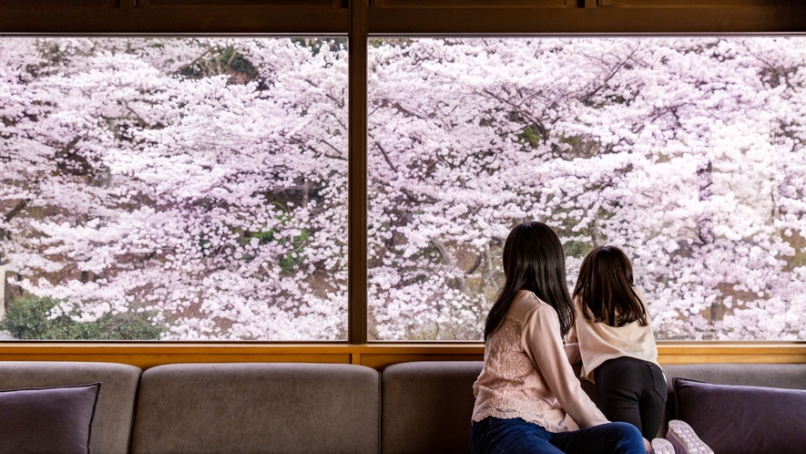 ホテルからの桜風景