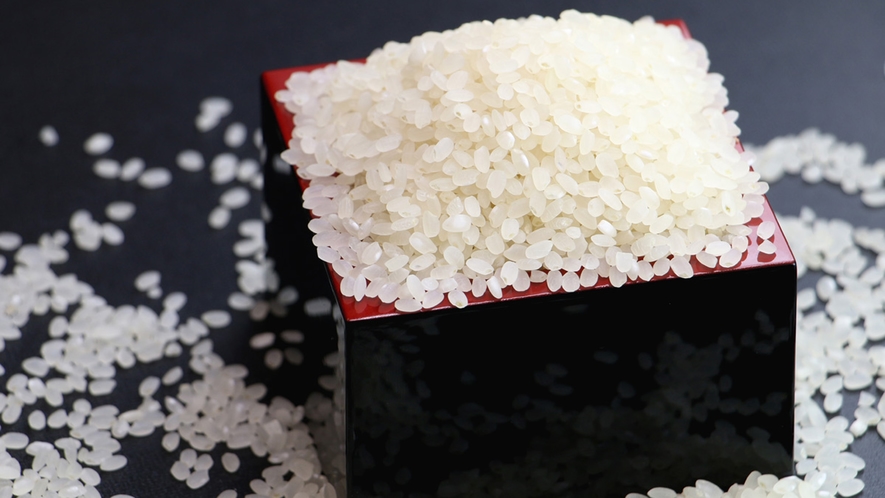 ■【寿荘のお米】岩船産コシヒカリをご提供いたしております。