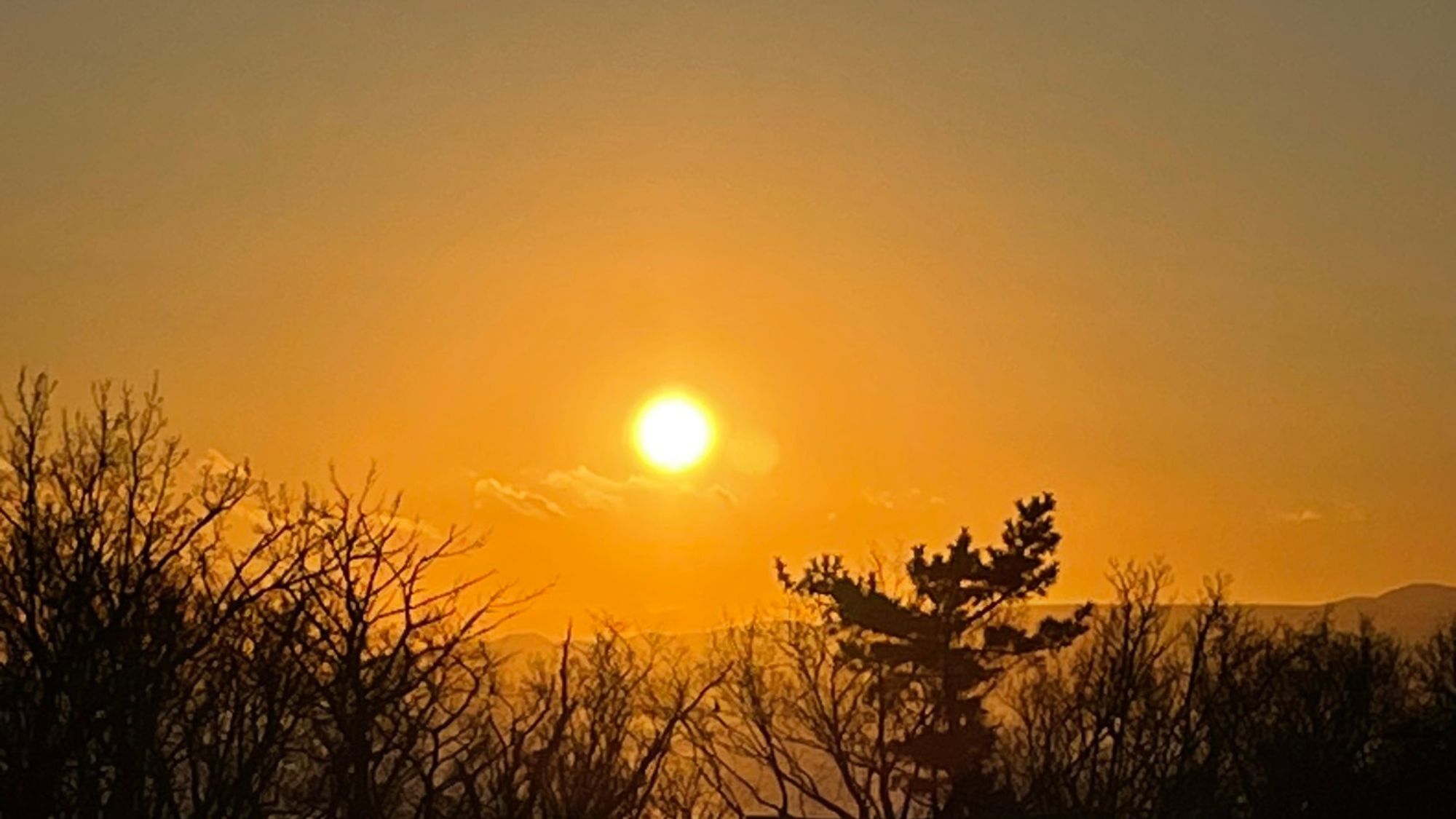 12月中旬〜2月頃、当館の客室（露天風呂付客室／ツイン／和洋室）から朝日が望めます。