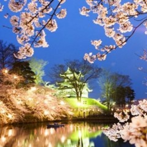 高田の夜桜