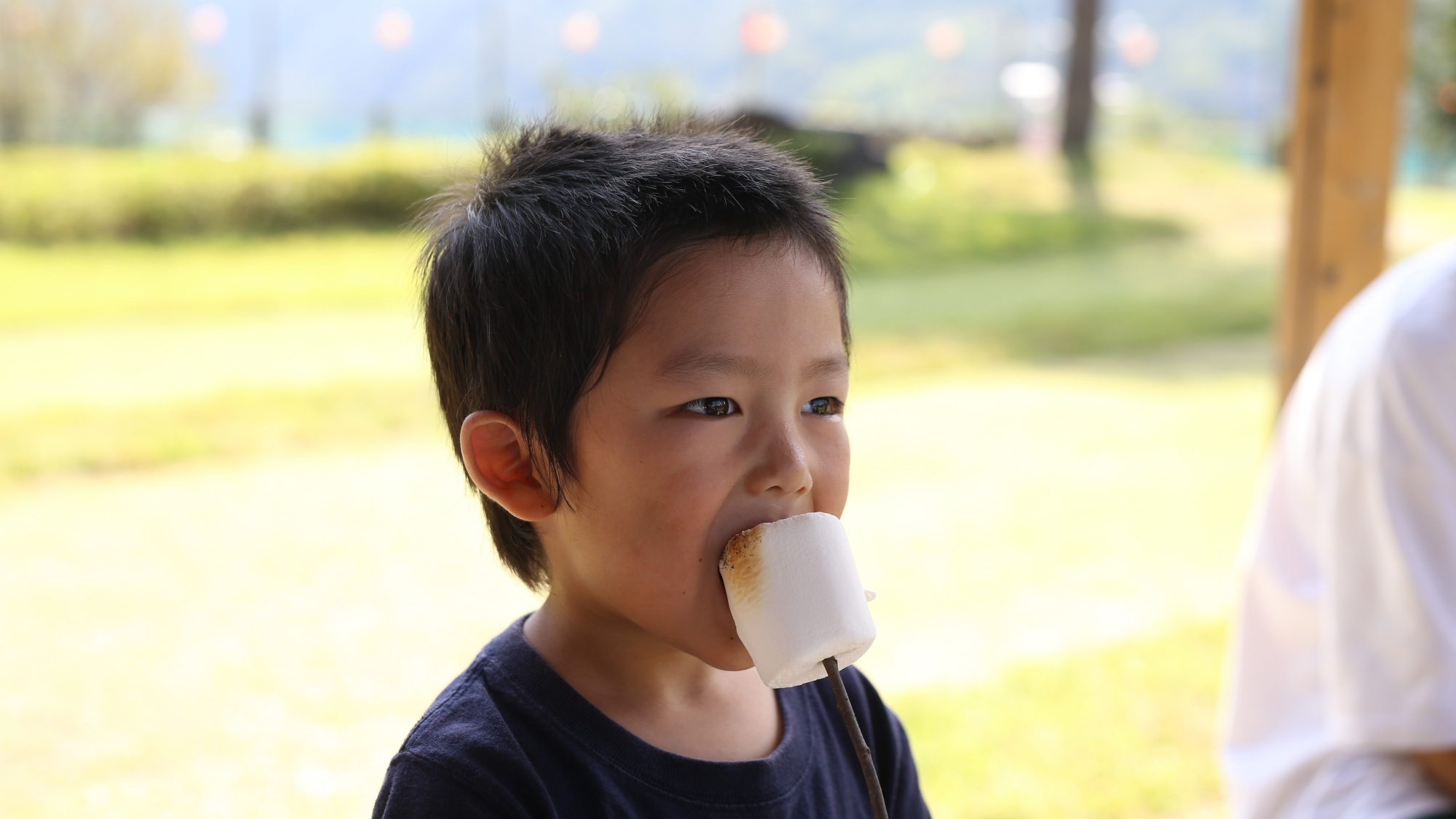 【BBQプラン】＜食材＆機材付き！手ぶらでOK＞自然に囲まれて開放感たっぷりのバーベキュー