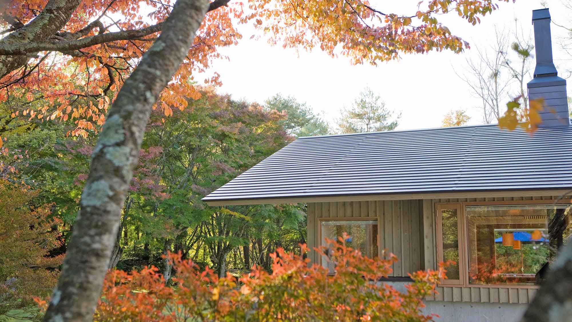 【ダイニング外観／秋＊】鮮やかな紅葉を楽しめます