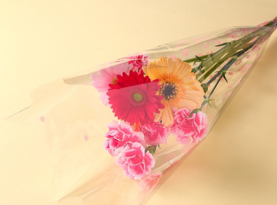 母の日アニバーサリーステイ　〜3大特典付き〜