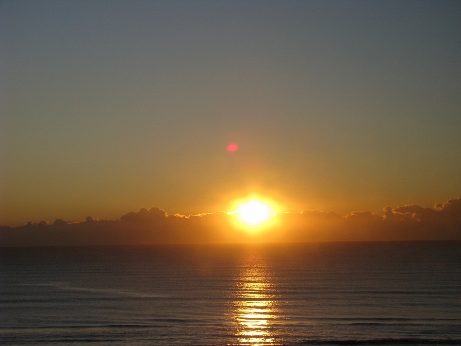 1泊朝食付き 宿泊プラン　2026.4/1〜