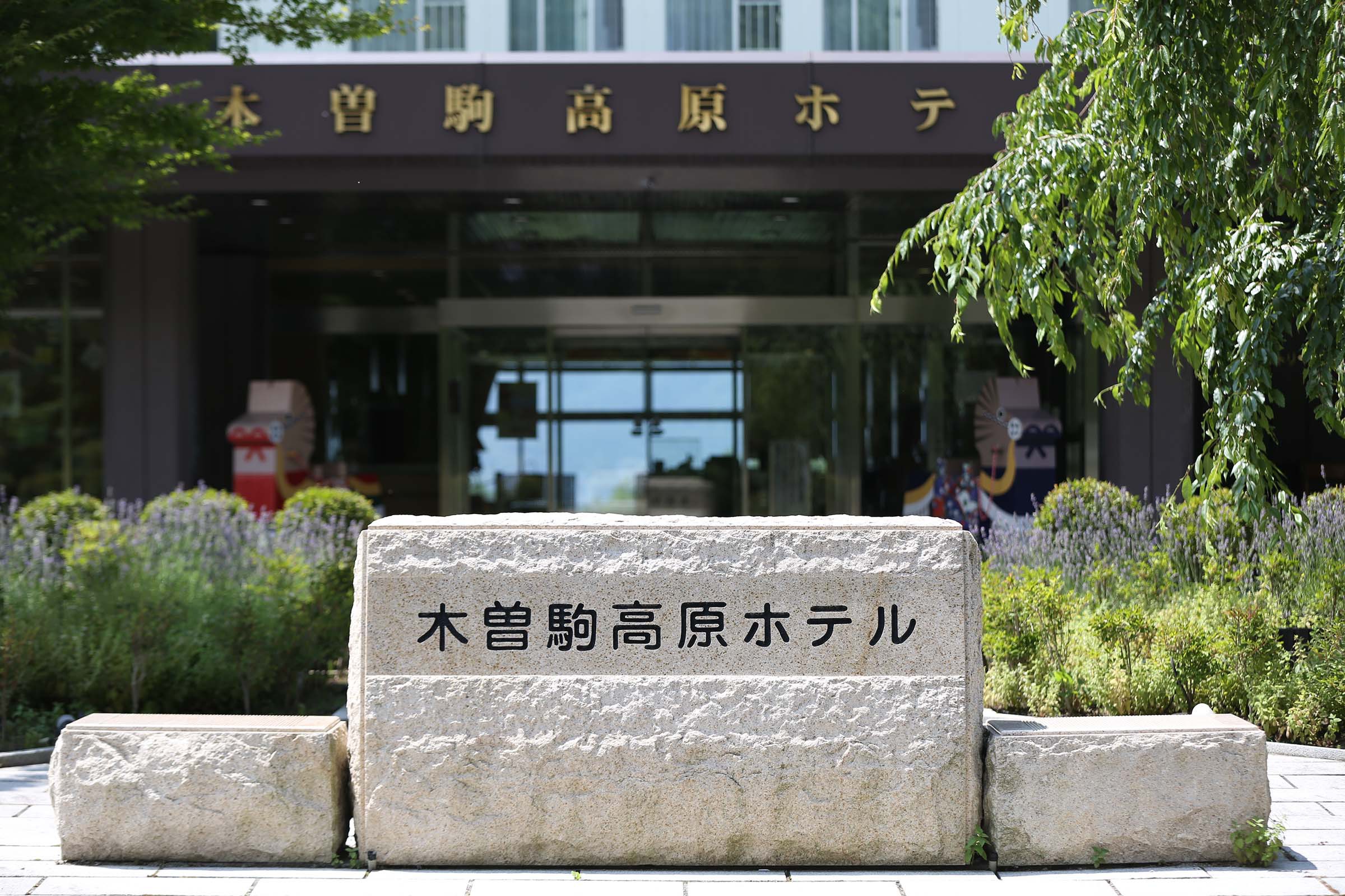 写真1