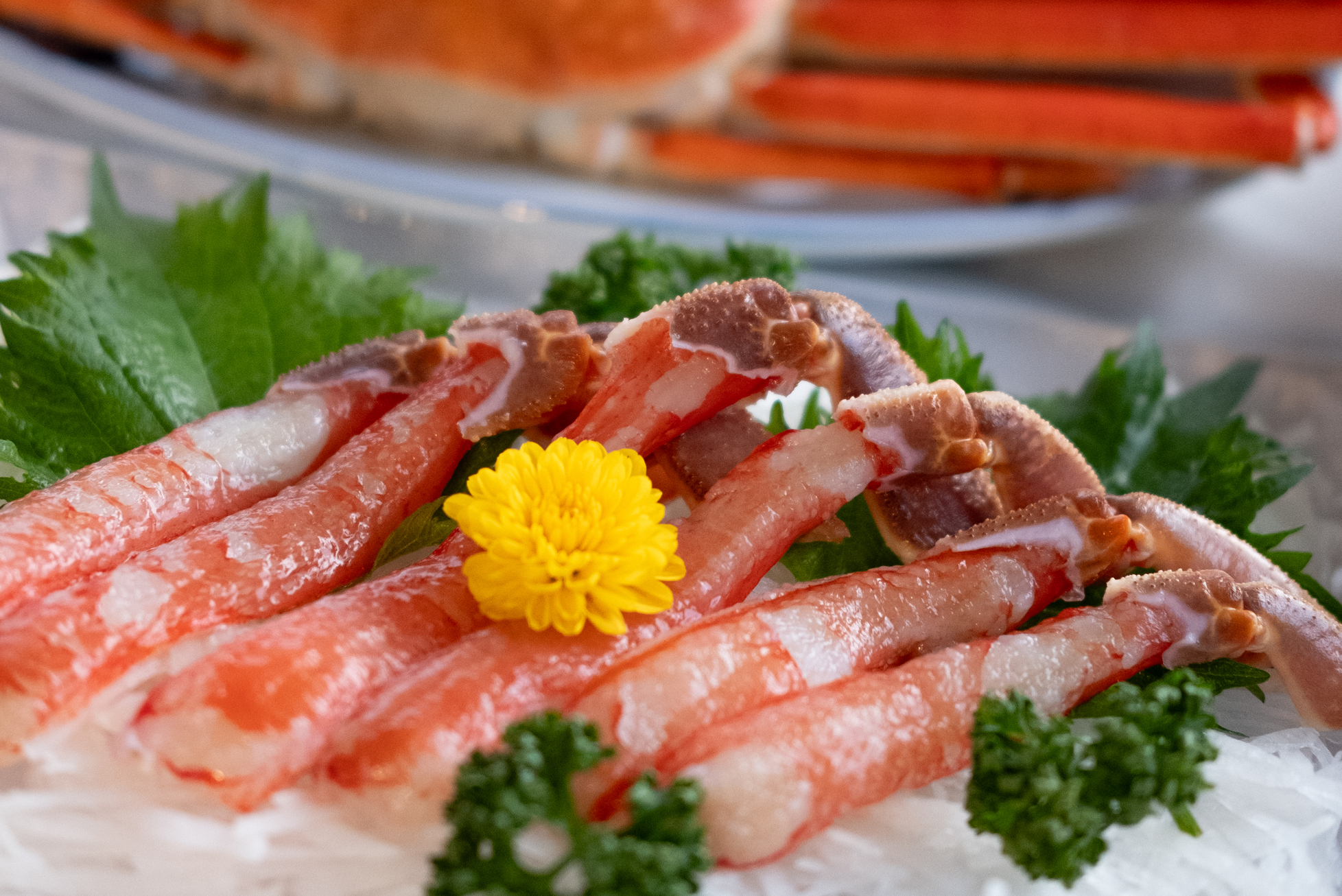 冬コース料理④