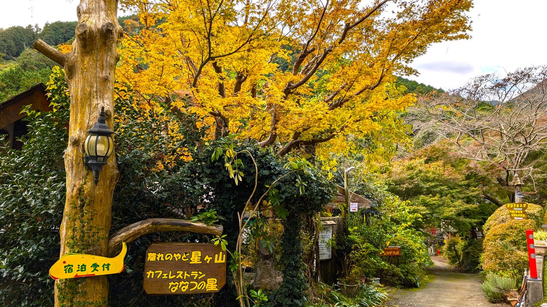 【春SALE】＜スタンダード＞絵本の扉をあけたような自然の中、秋の自然をいっぱい感じる旅