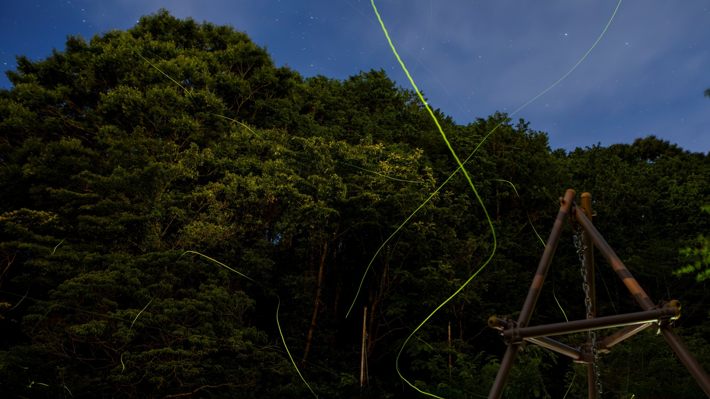 毎年6月にはホタルの放流を行っています。都会では観られない感動的な風景がここにはあります。