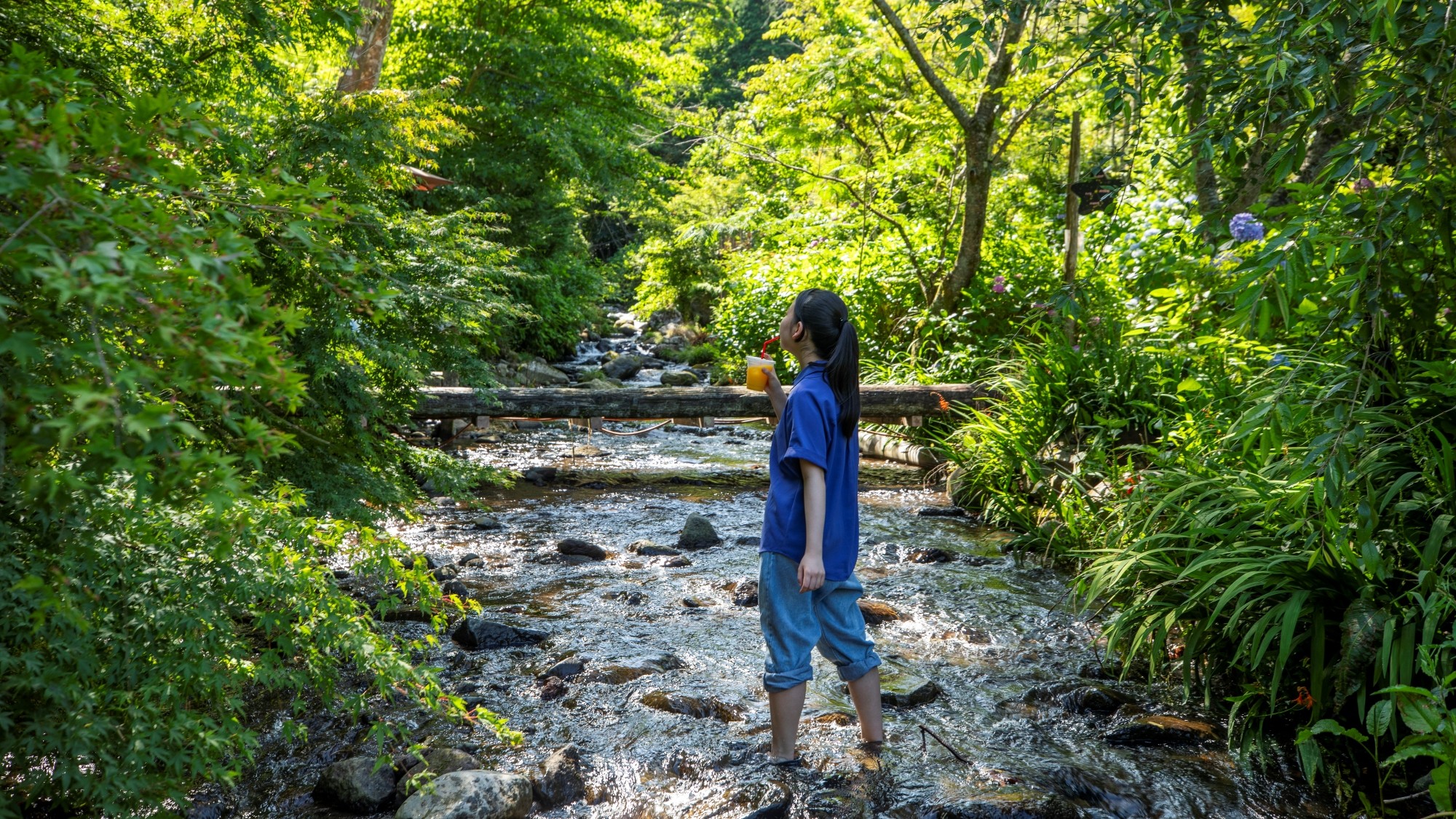 敷地内を流れる渓流で水遊び