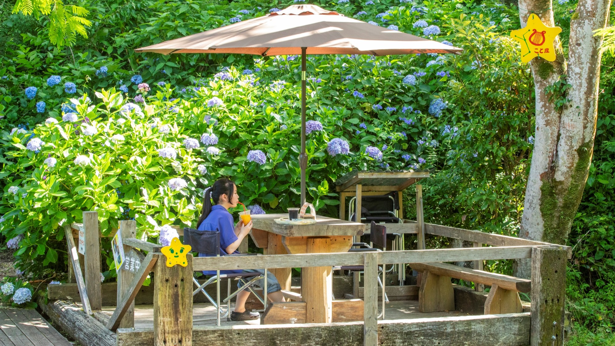 渓流沿いのせせらぎテラス