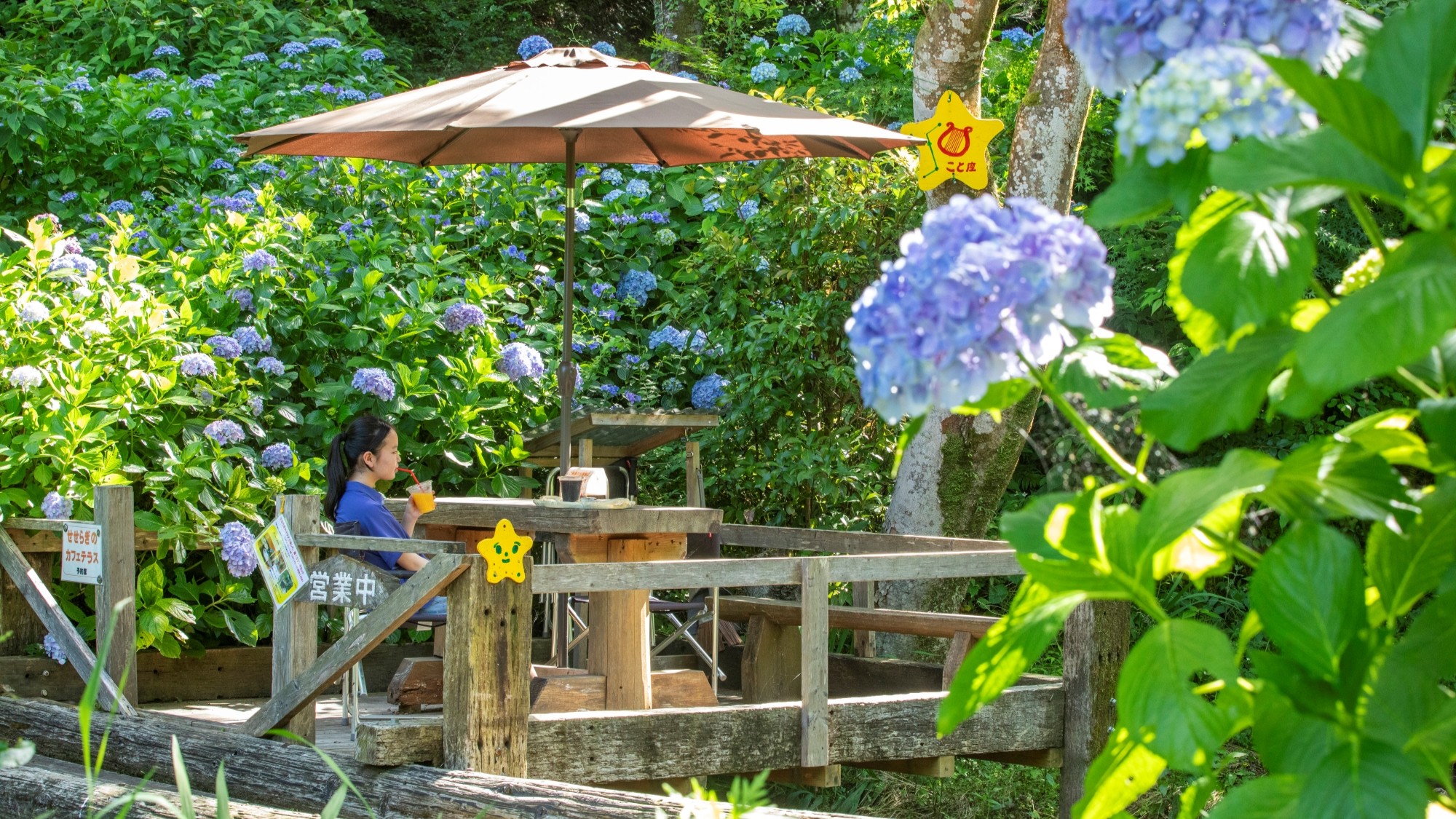 渓流沿いのせせらぎテラス