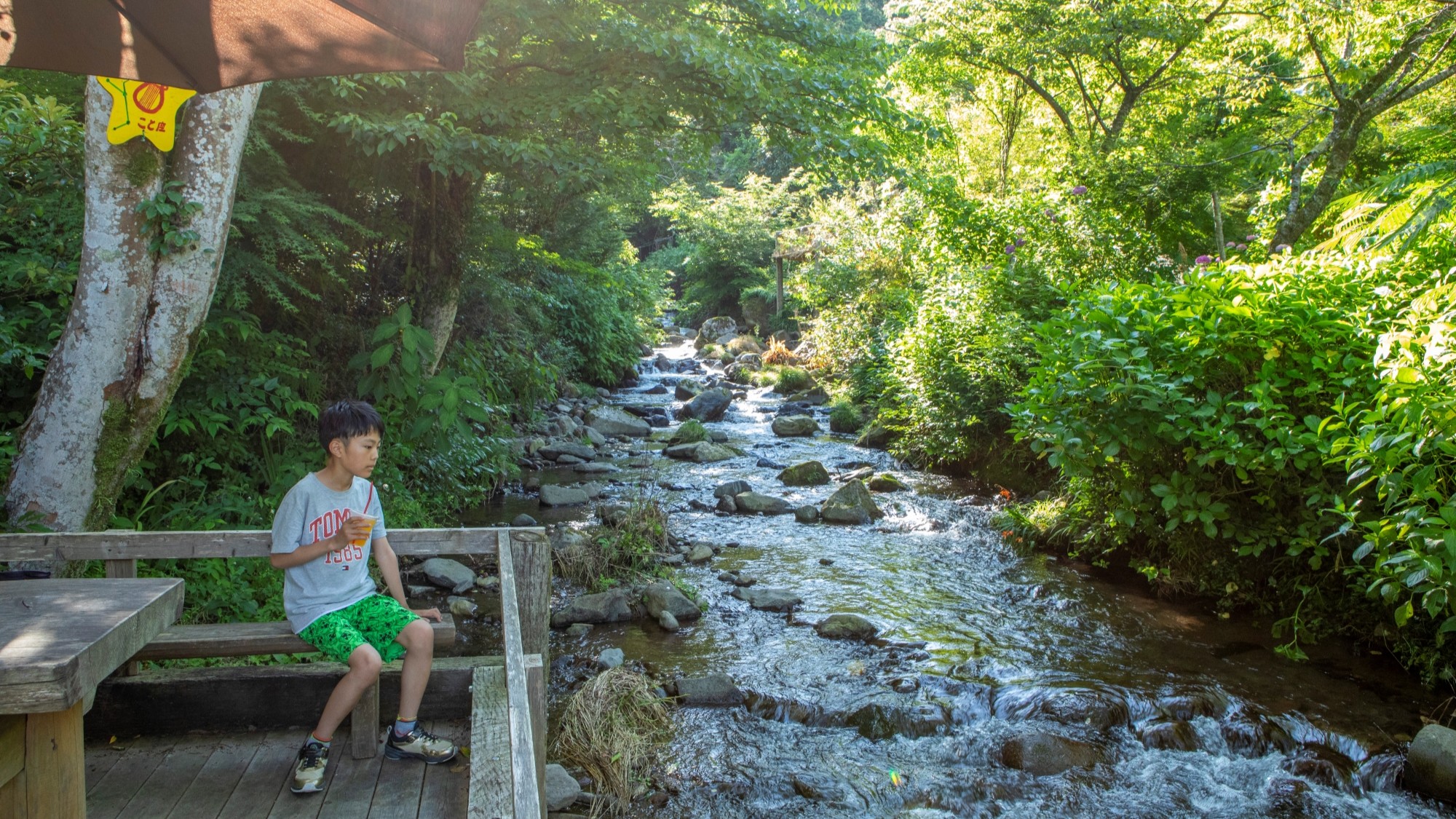 せせらぎテラスで涼もう！
